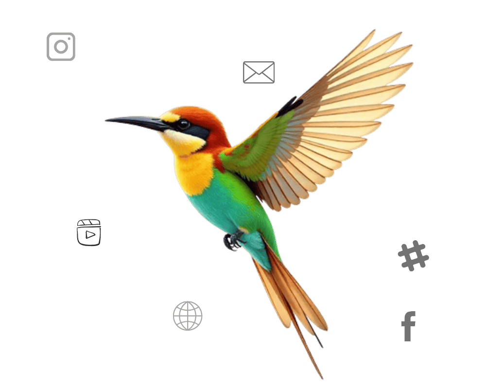 Bee-eater bird illustration