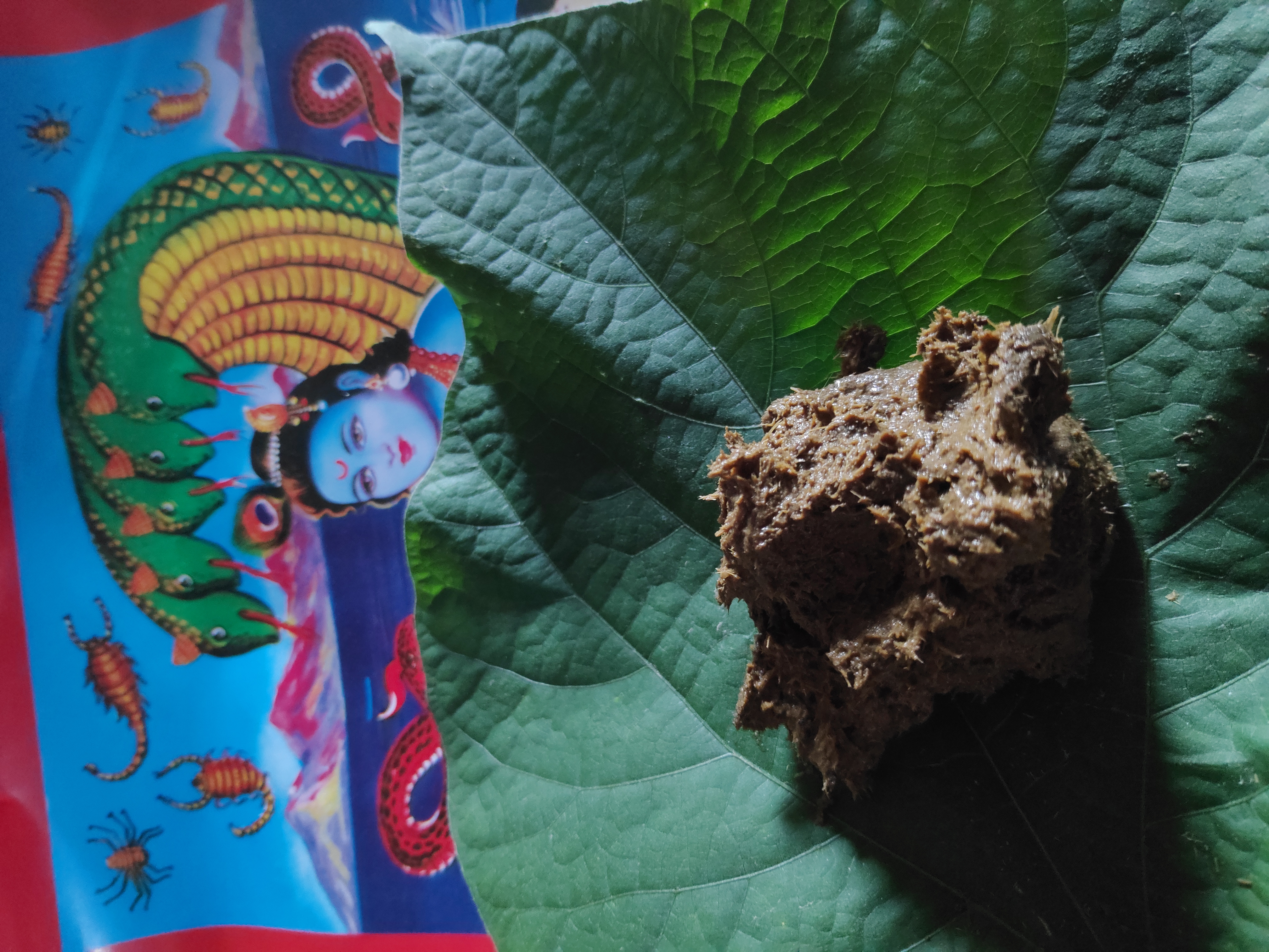 नाग पंचमी