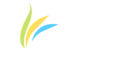 Patringa