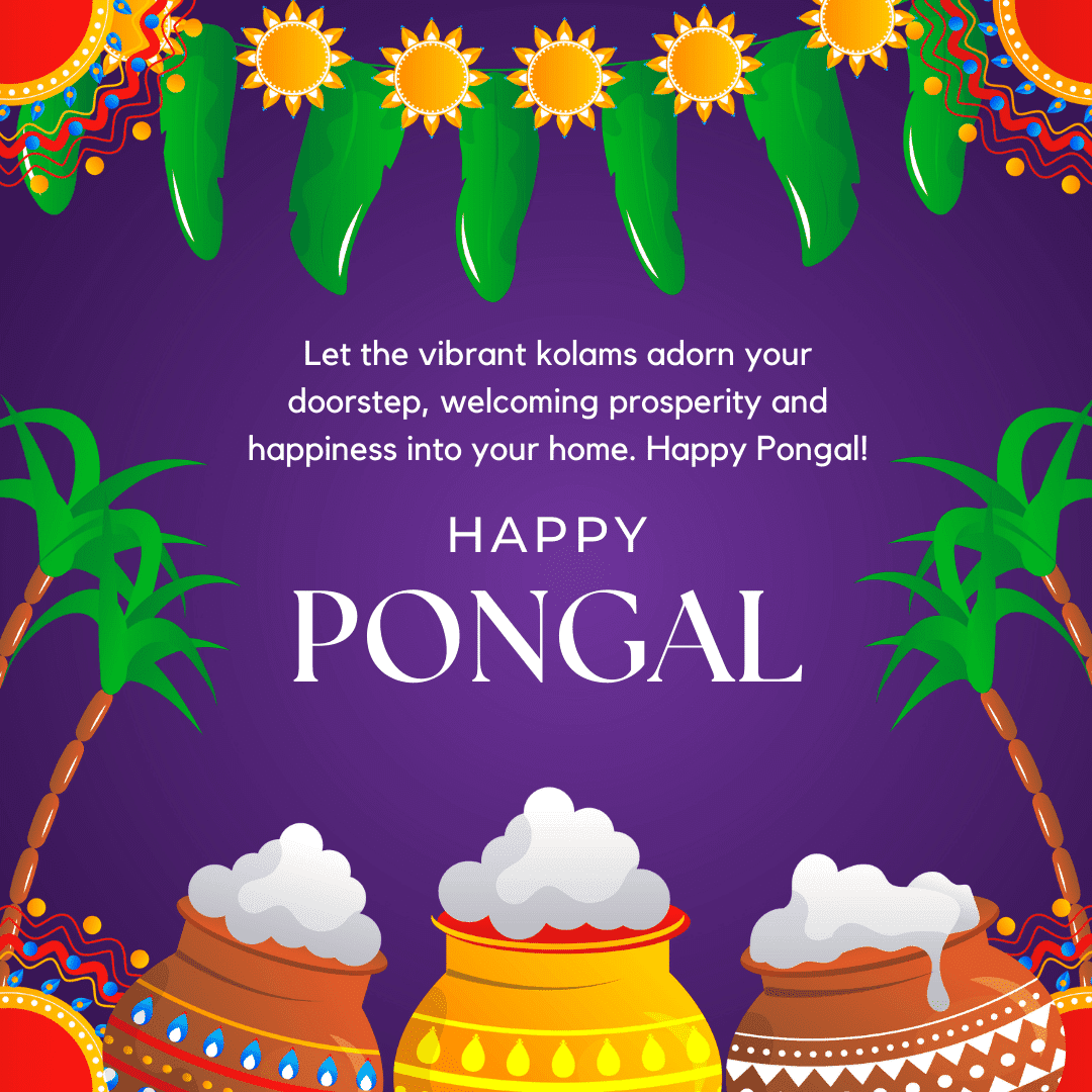 Let the vibrant kolams adorn your doorstep, welcoming prosperity and happiness into your home. Happy Pongal!