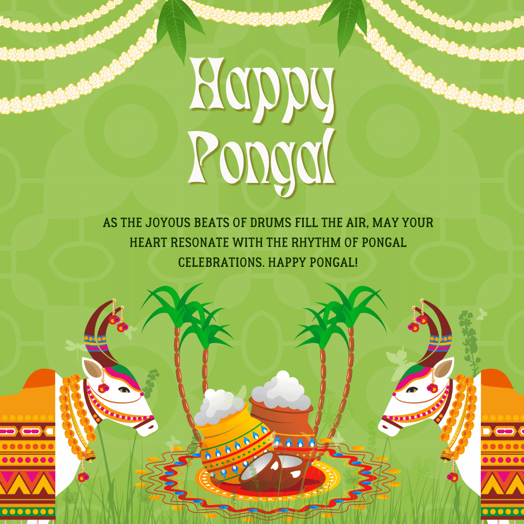 As the joyous beats of drums fill the air, may your heart resonate with the rhythm of Pongal celebrations. Happy Pongal!