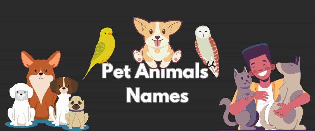 Pet Animals Name blog image choose the name for your pet